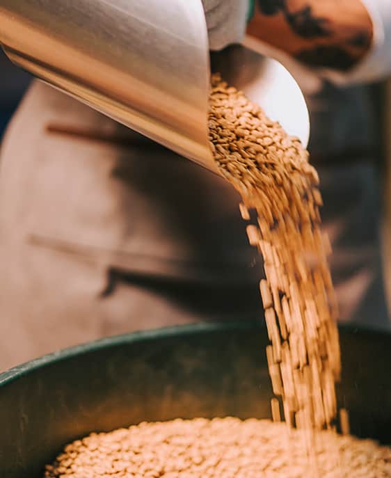 A person is transferring beans from a container into a bowl.
