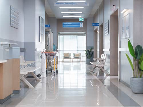 A hospital hallway featuring several chairs and a potted plant, creating a welcoming atmosphere for visitors.